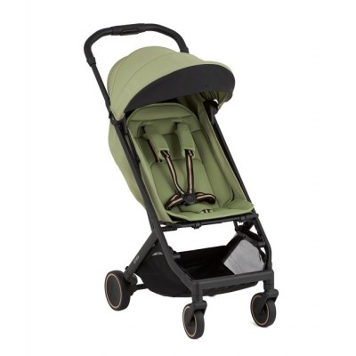 Poussette Légère Anex Air-X² Vert 