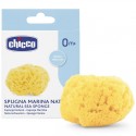 Chicco Spugna Marina Media