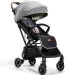 Passeggino Joie Tourist Carbon Portata 15 Kg