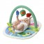 Palestrina Chicco Attività 3 in 1