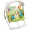  Altalena Fisher Price Baby Gear Salvaspazio 2 in 1