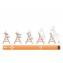 Seggiolone Sedia in Legno Hauck Beta+