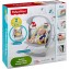  Altalena Fisher Price Baby Gear Salvaspazio 2 in 1