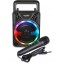 Mini Enceinte Sans Fil Bontempi con Microphone et Lumières