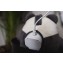 Peluche Luminoso Tommee Tippee Pip il Panda