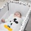 Lettino Co-Sleeping Nania Dodi Winnie Explorer