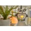 Peluche Luminoso Tommee Tippee Pip il Panda