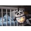 Peluche Luminoso Tommee Tippee Pip il Panda