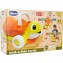 Primi Passi Chicco Tartaruga 2in1