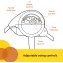 Bright Starts Whimsical Wild Swing 0-9 mois 3-9 kg