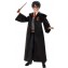 Personaggio Mattel Harry Potter 