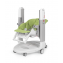 Seggiolone Peg Perego Tatamia Follow Me Wonder Green