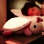 Proiettore Cloud B Twilight Ladybug Pink