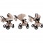 Trio Nanan 59 Beige
